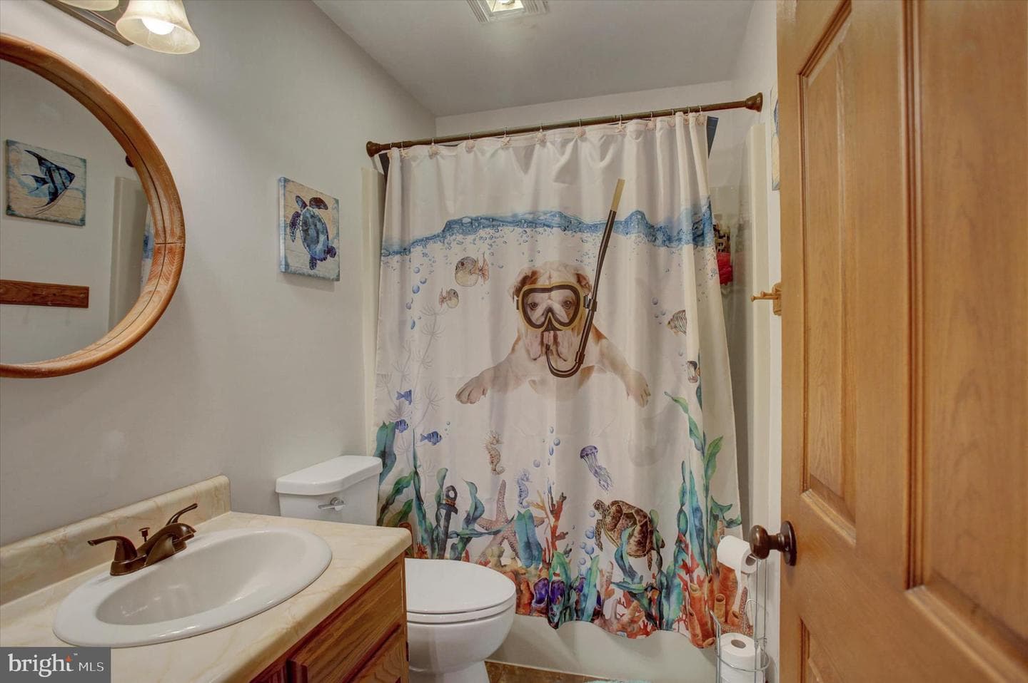 64 Diller Drive photo 26