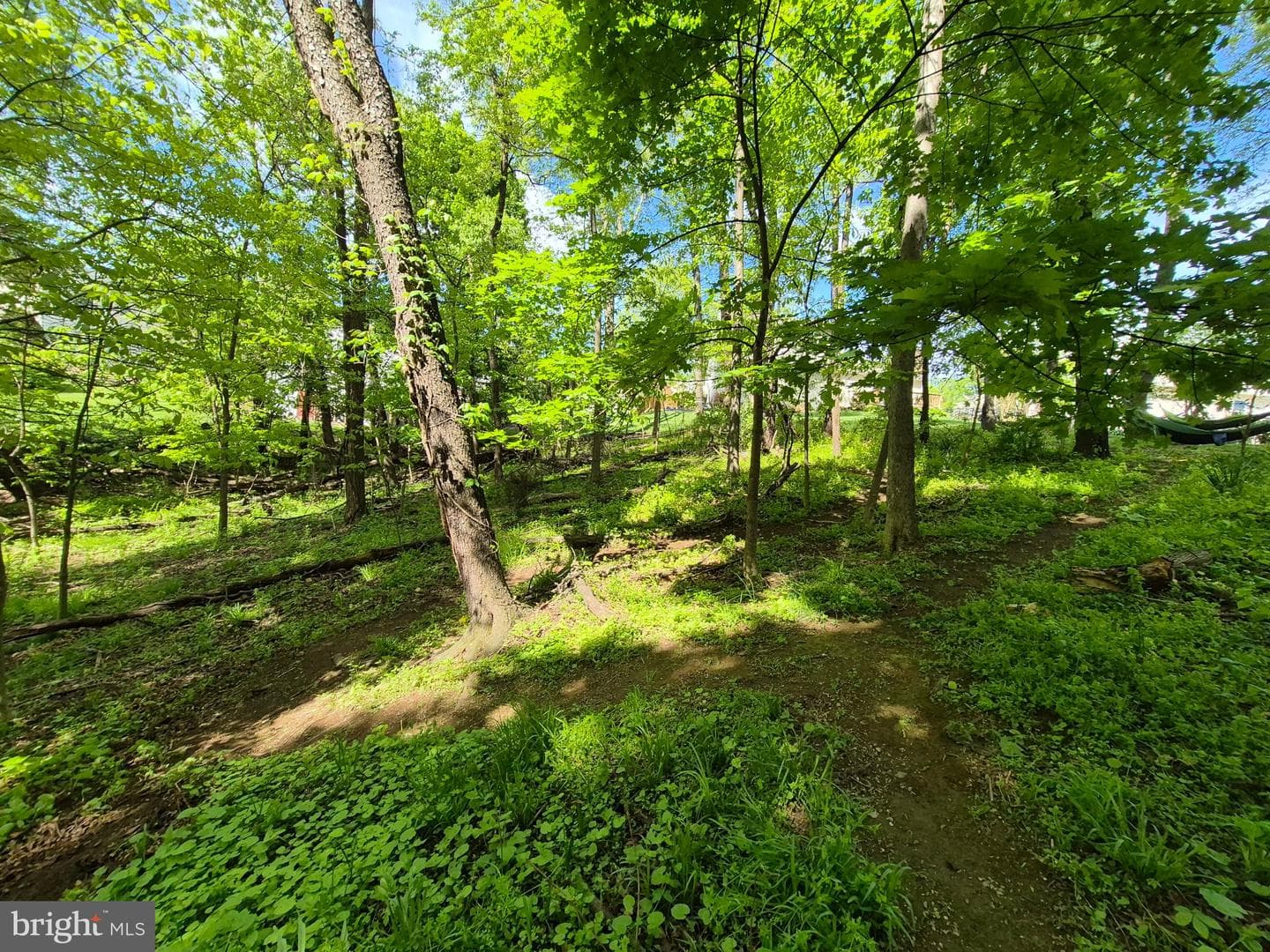 1406 Princeton Road photo 51