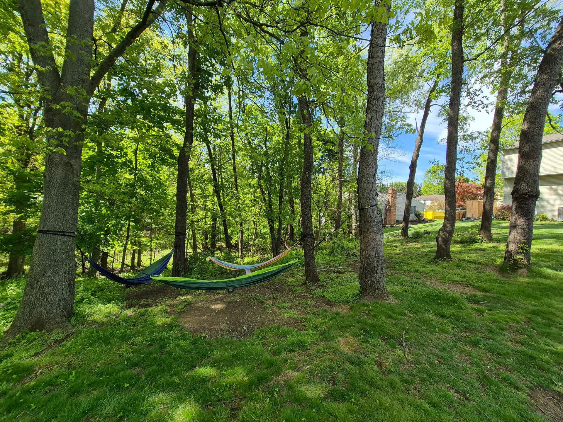 1406 Princeton Road photo 9