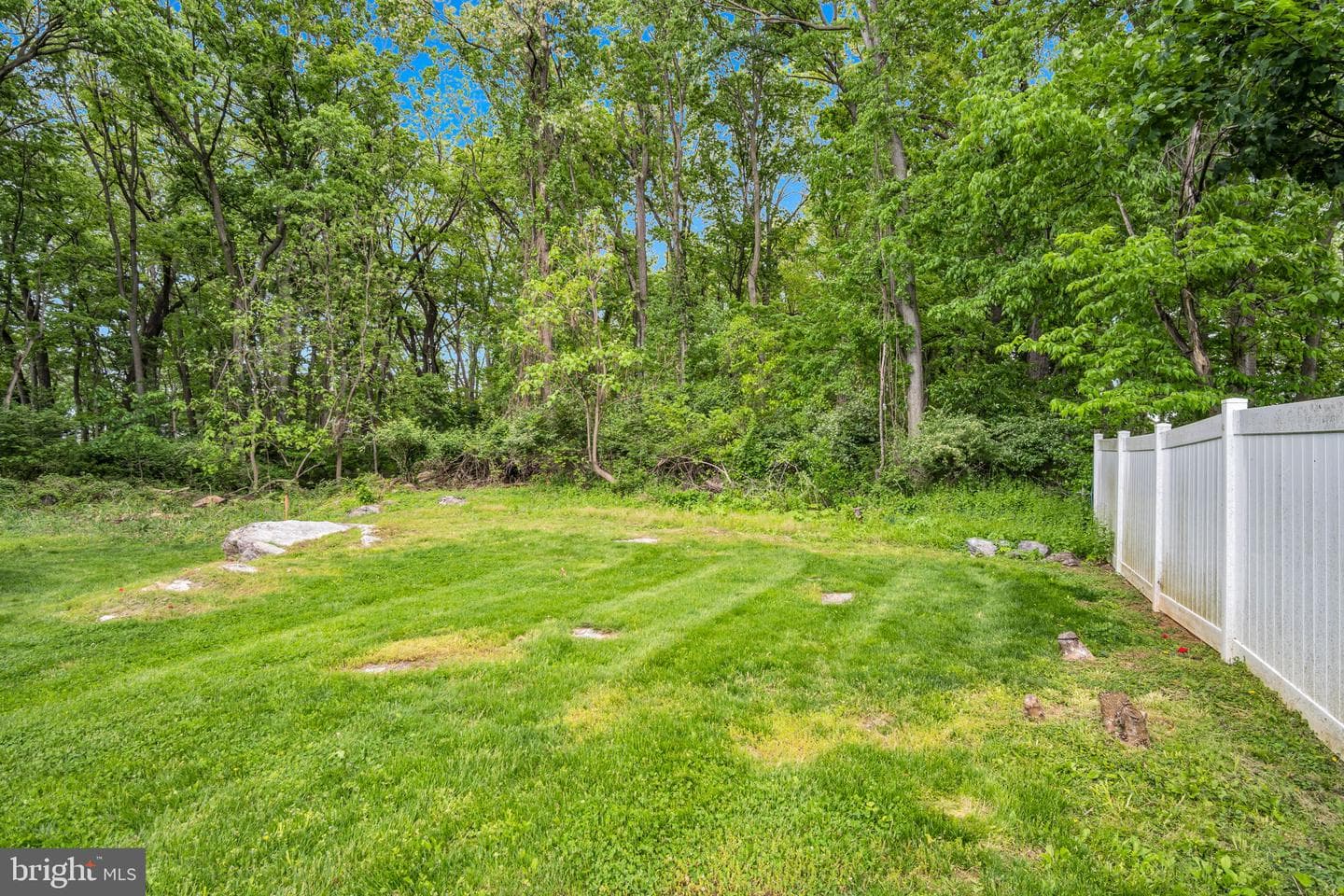 707 Belmont photo 28