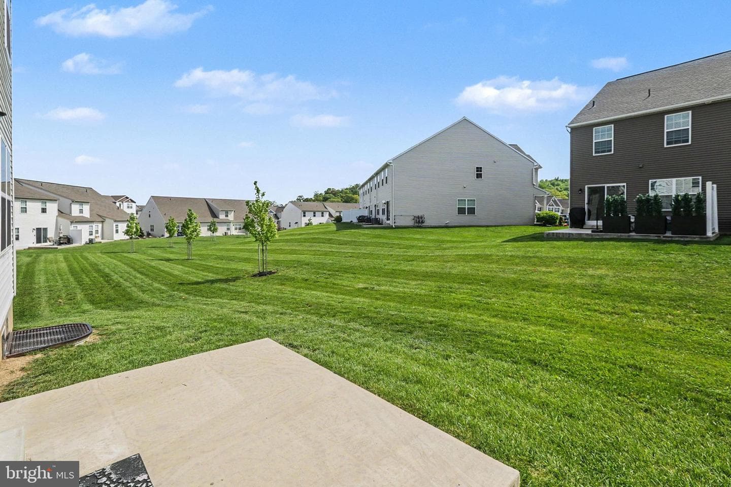 1850 Shady Lane photo 24
