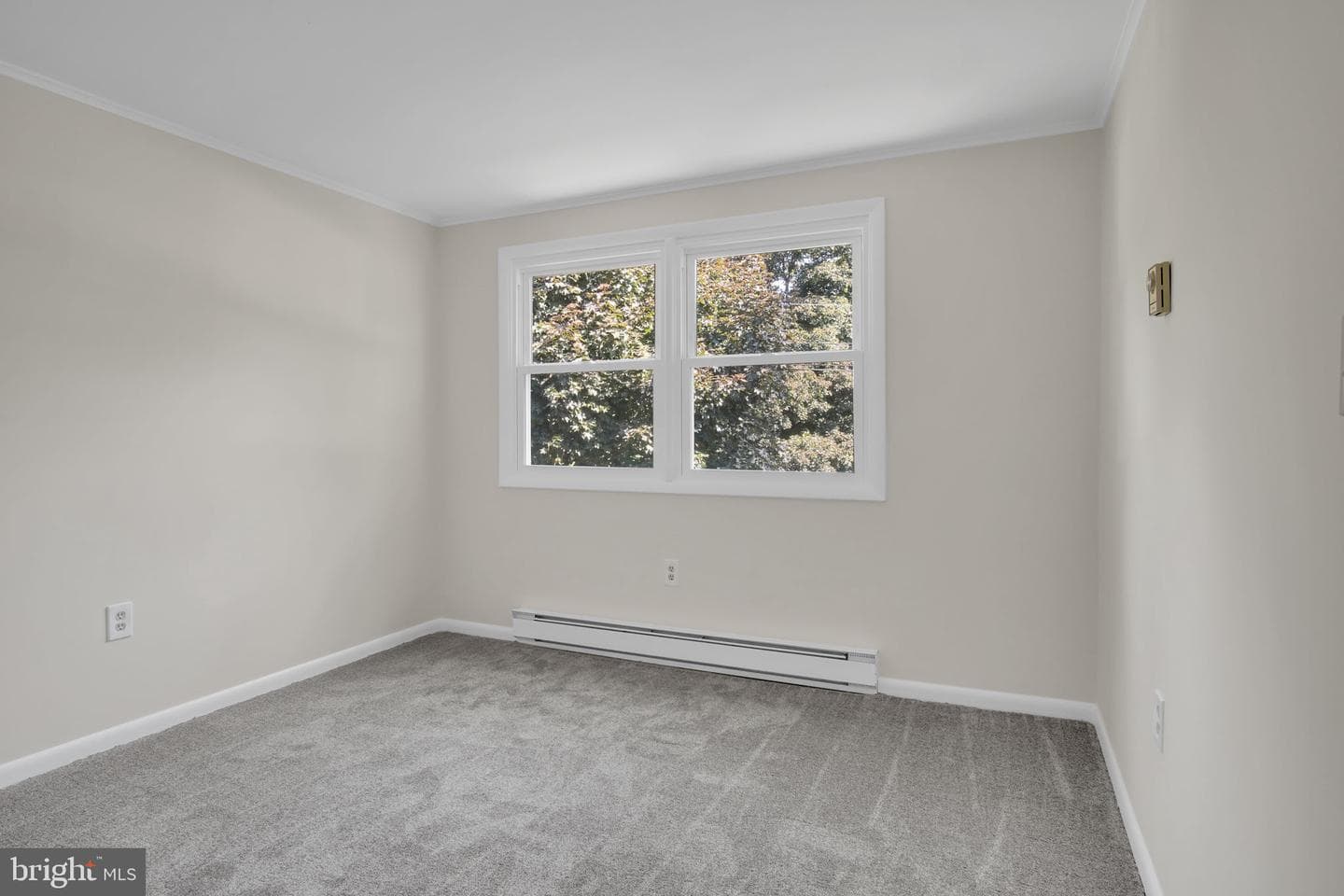 19 Hemlock Drive photo 32