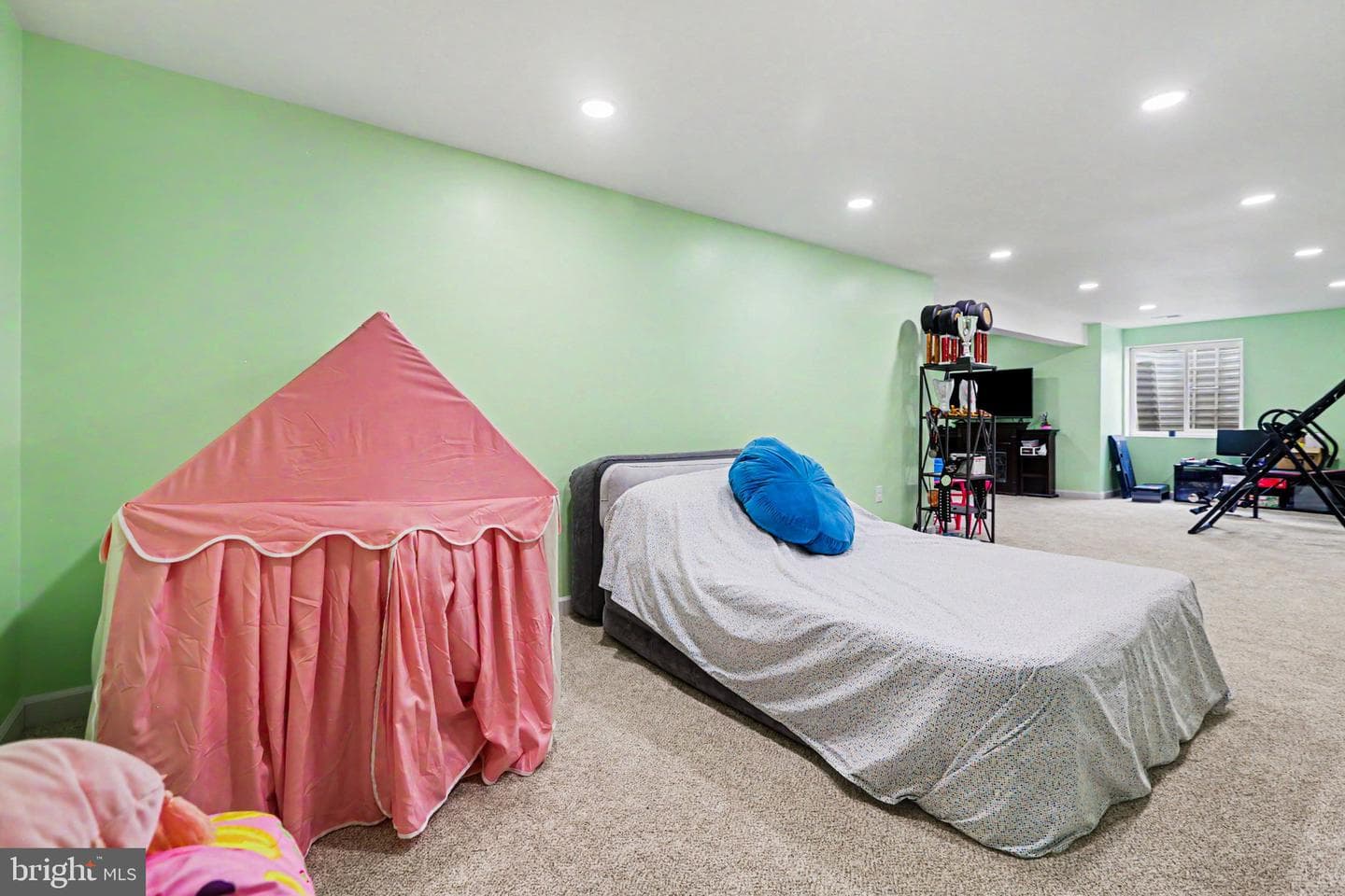 244 Forgedale Drive photo 20