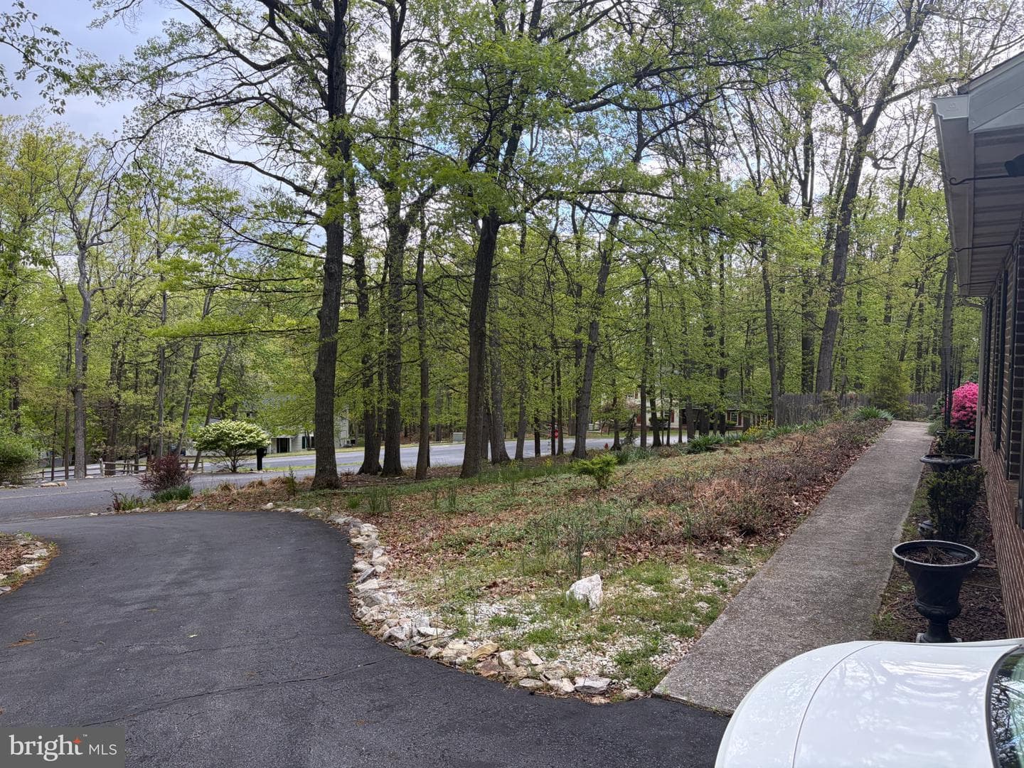 1231 Lindy Terrace photo 33