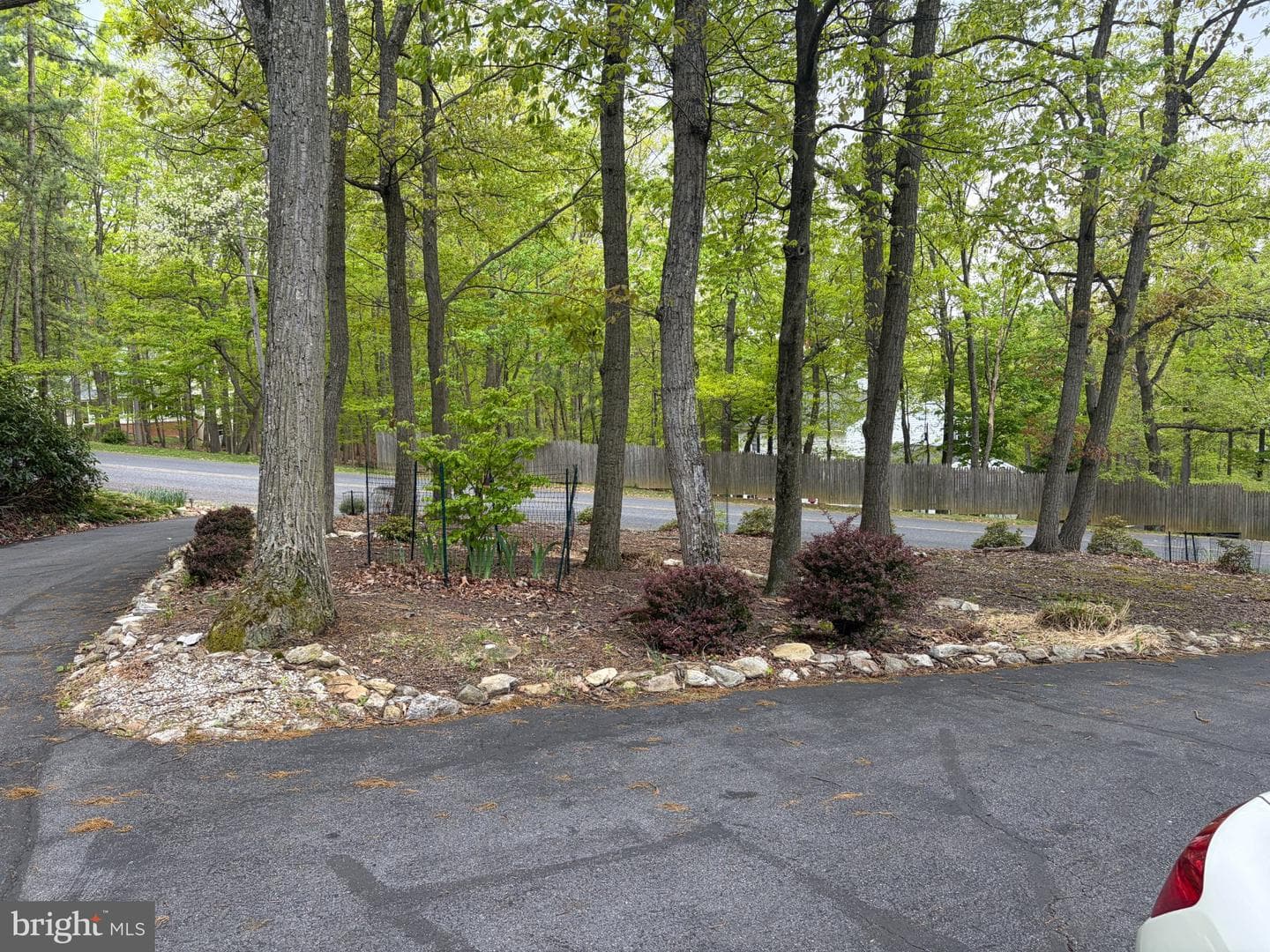1231 Lindy Terrace photo 34
