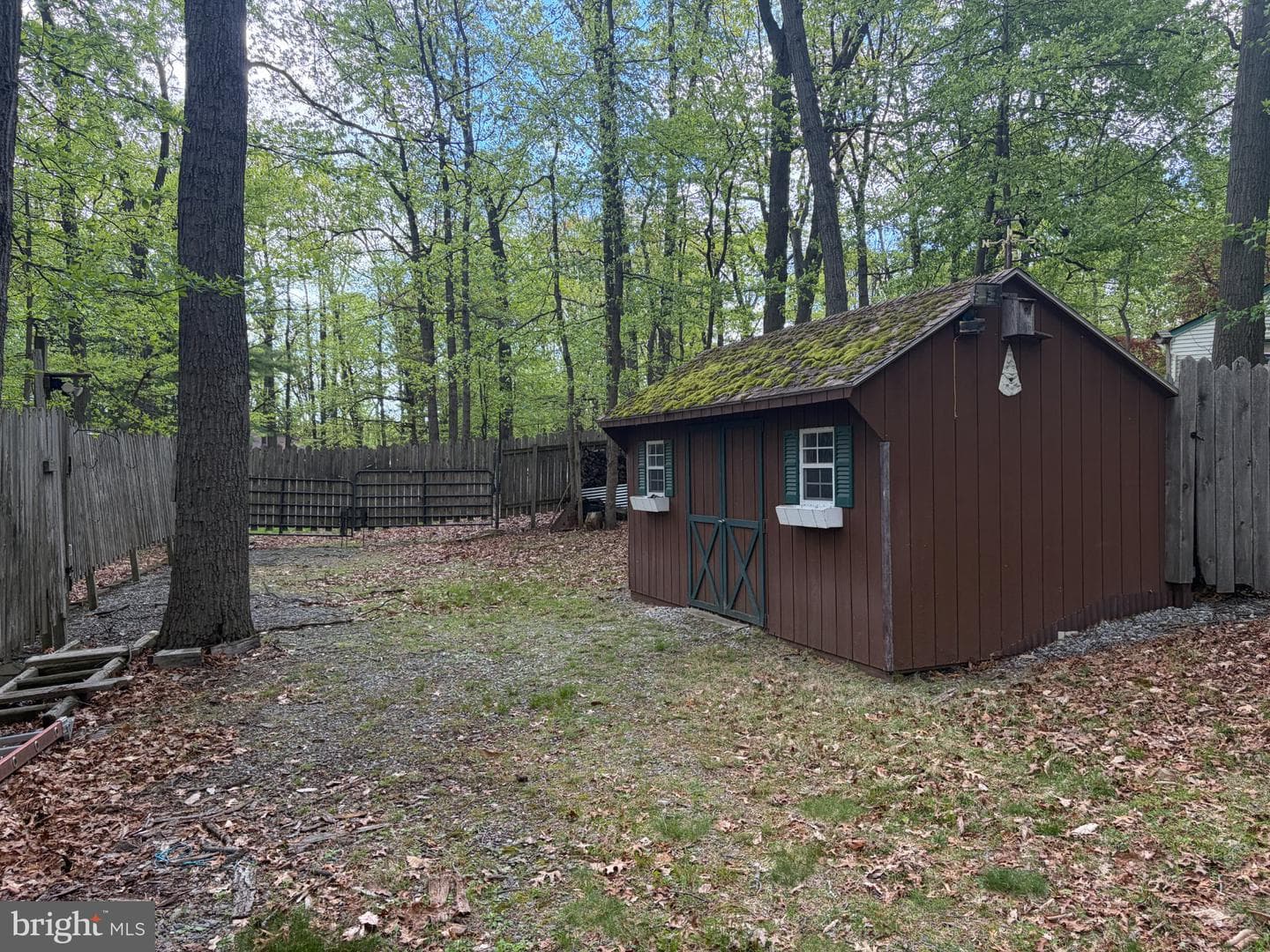 1231 Lindy Terrace photo 37