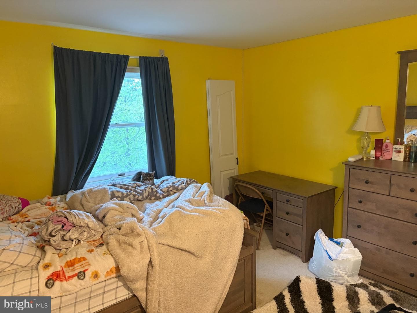1231 Lindy Terrace photo 48