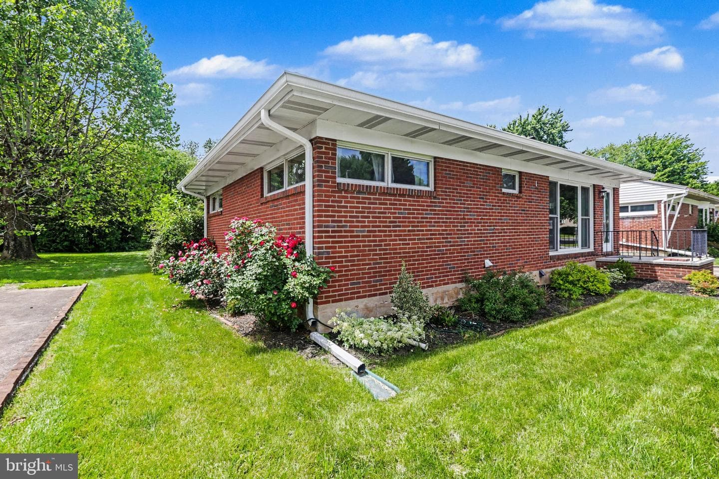44 Oak Avenue photo 29