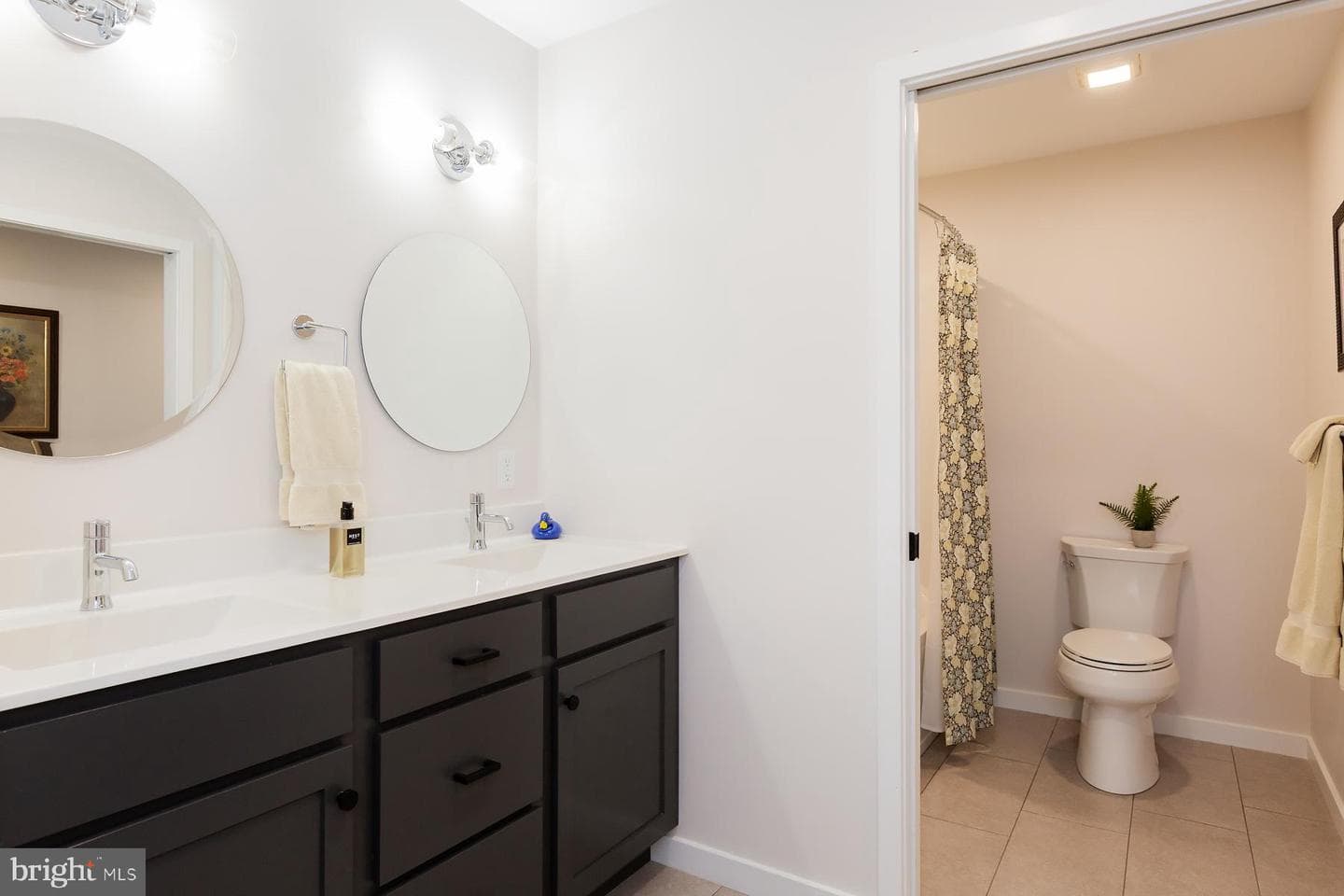 4 Walton Drive photo 34