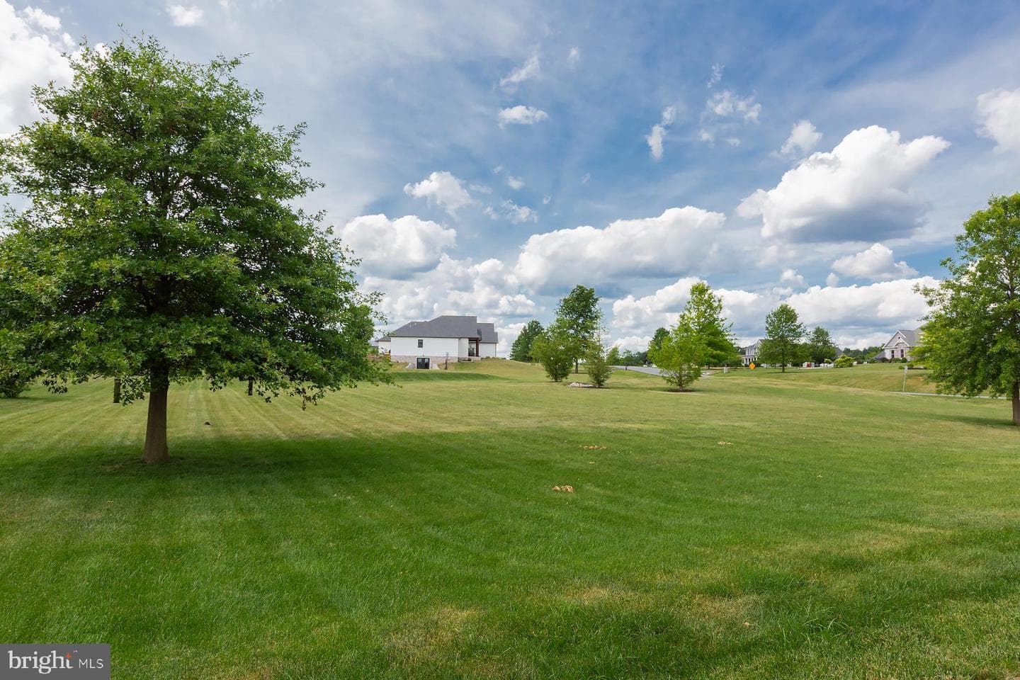 4 Walton Drive photo 40