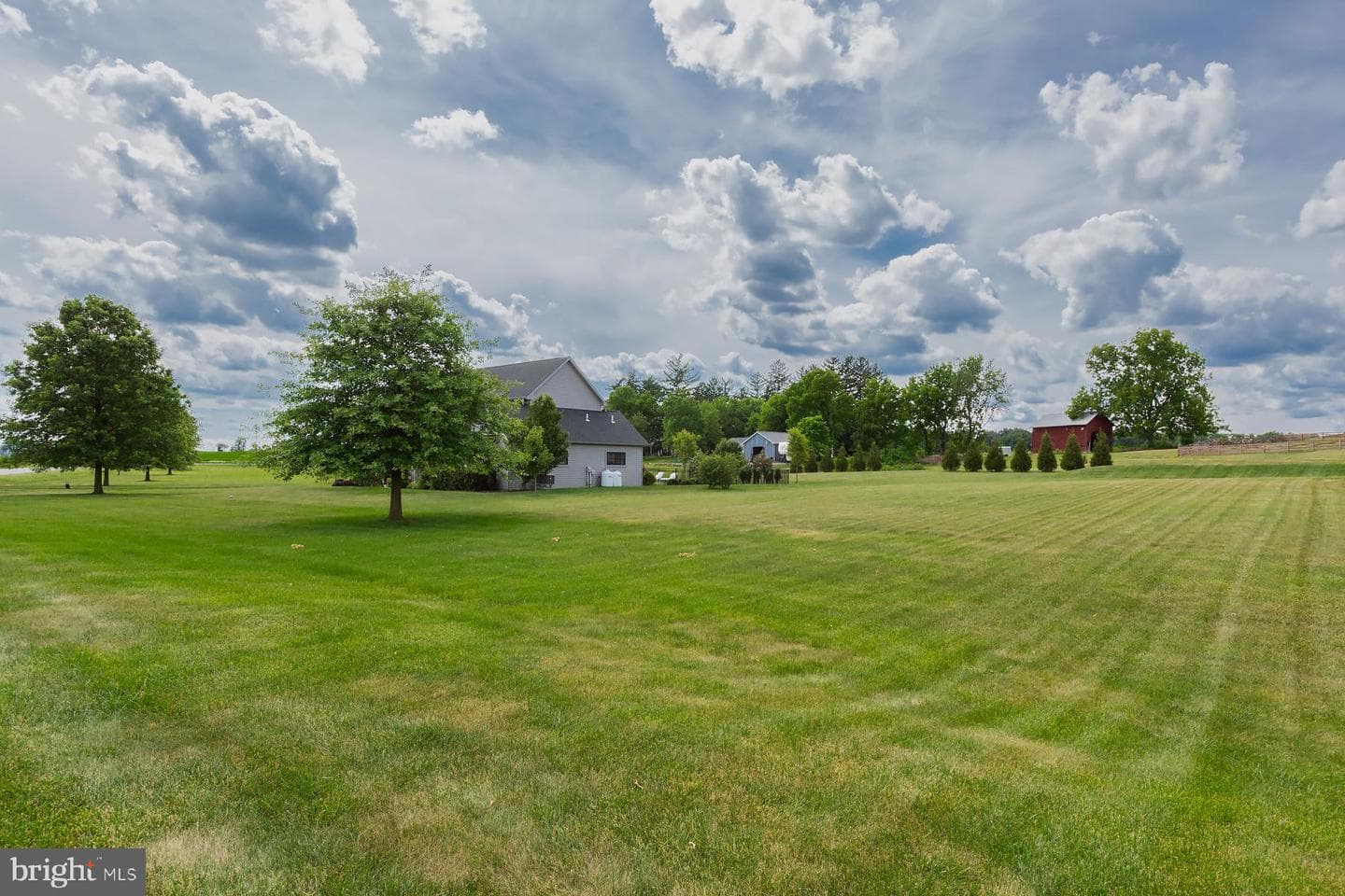 4 Walton Drive photo 41