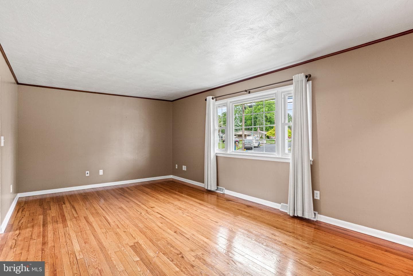 18 Chestnut Street photo 6