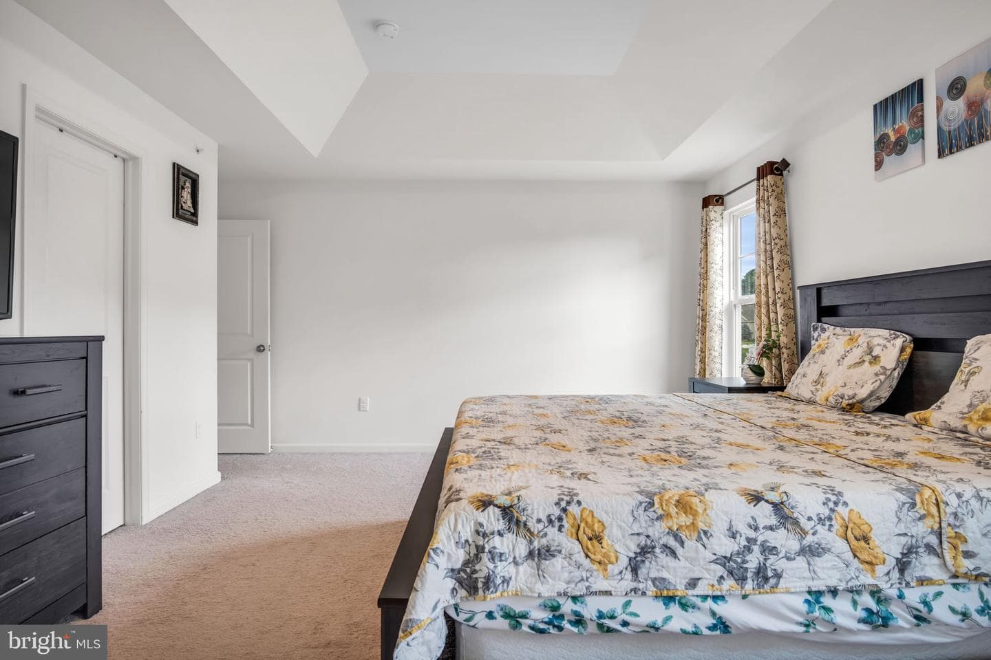 65 Simon Court photo 18