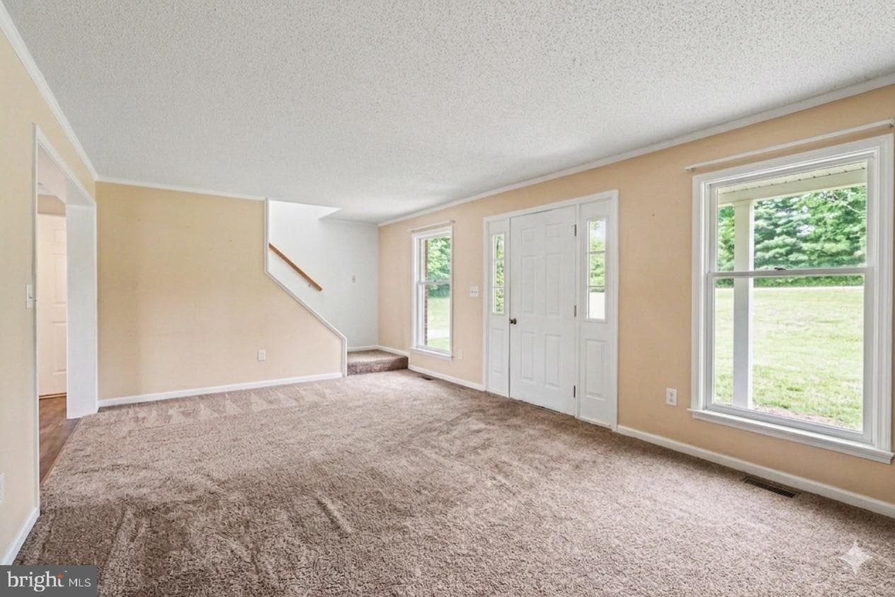 19 Forest Lane photo 2