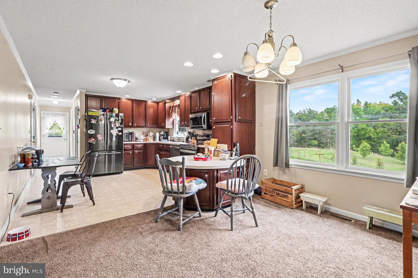 19 Forest Lane photo 34