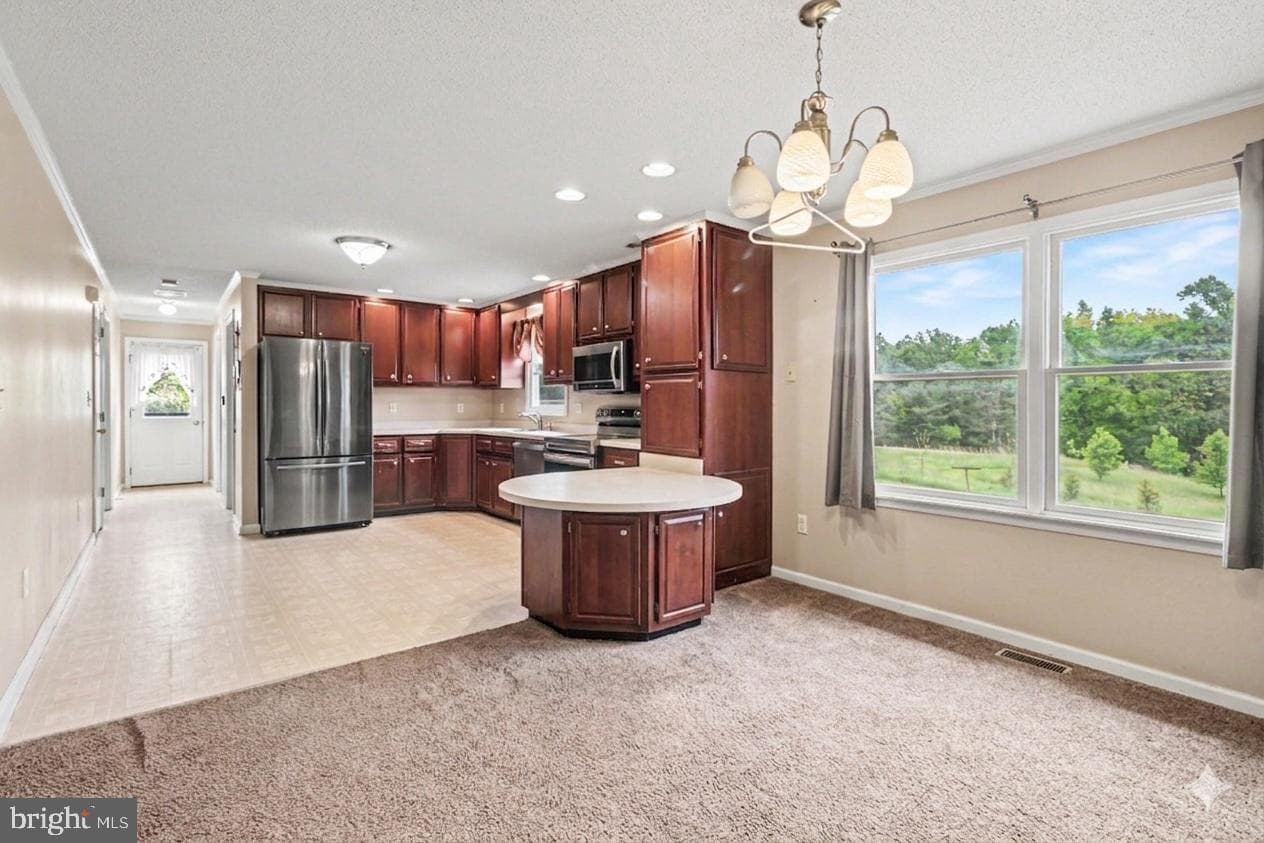 19 Forest Lane photo 6