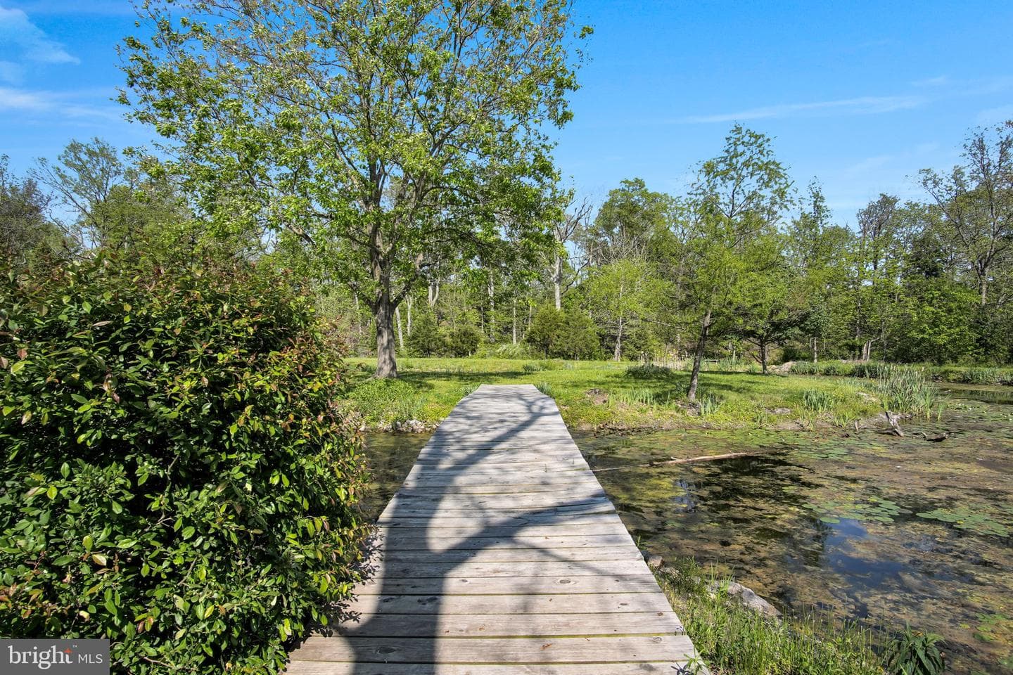 844 Opossum Lake Road photo 52