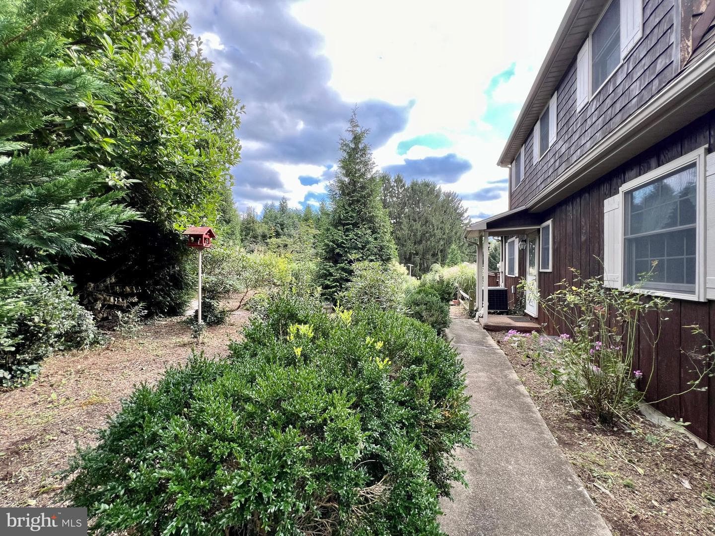 516 N Earl Street photo 23