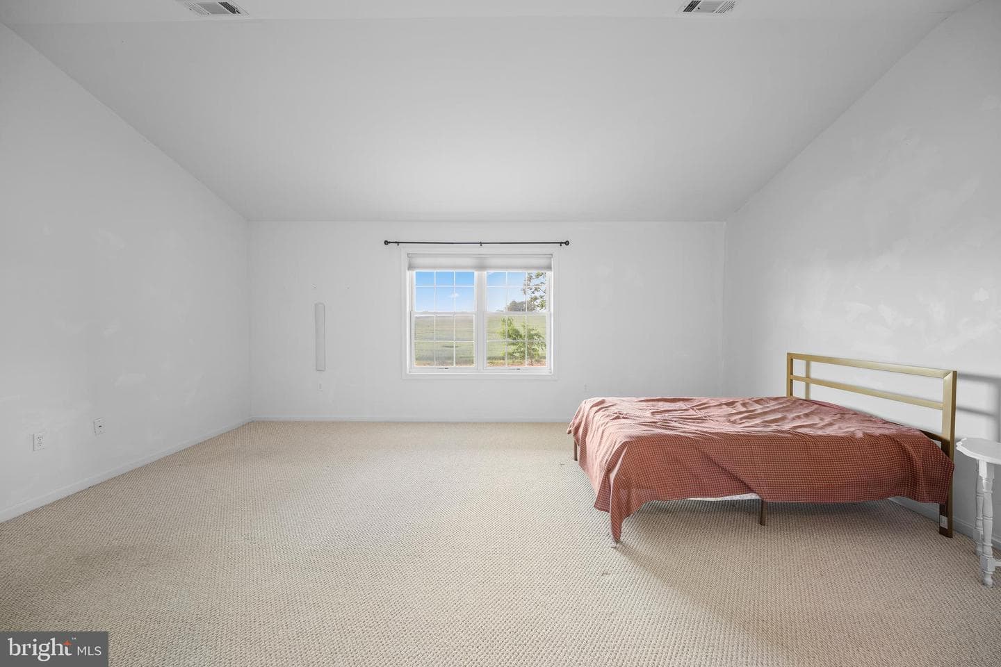 123 Blackbird Lane photo 12