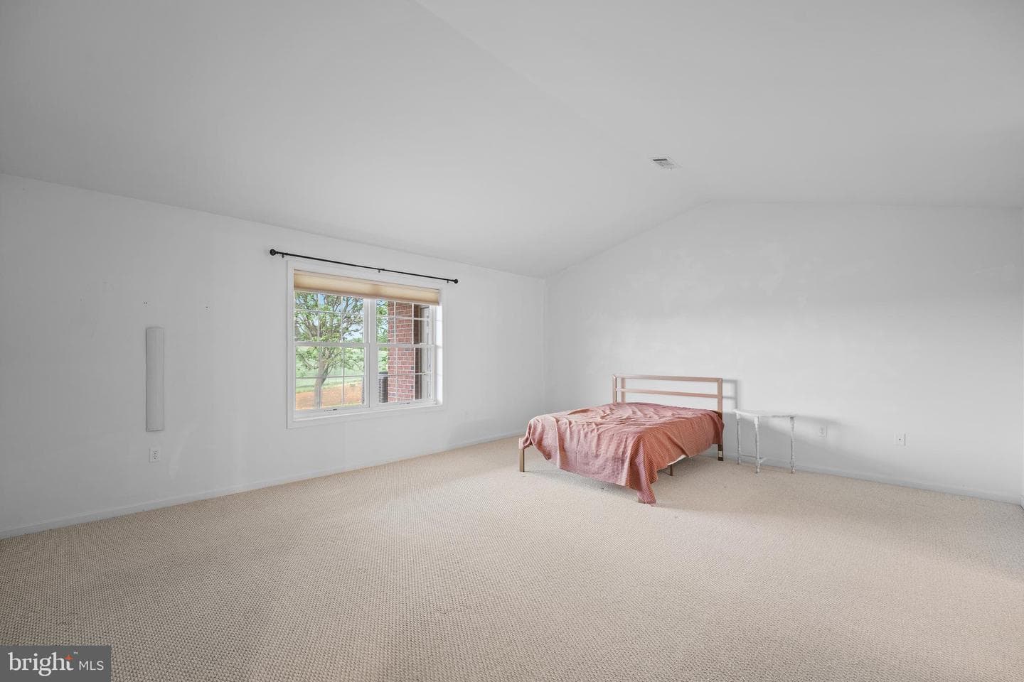 123 Blackbird Lane photo 14