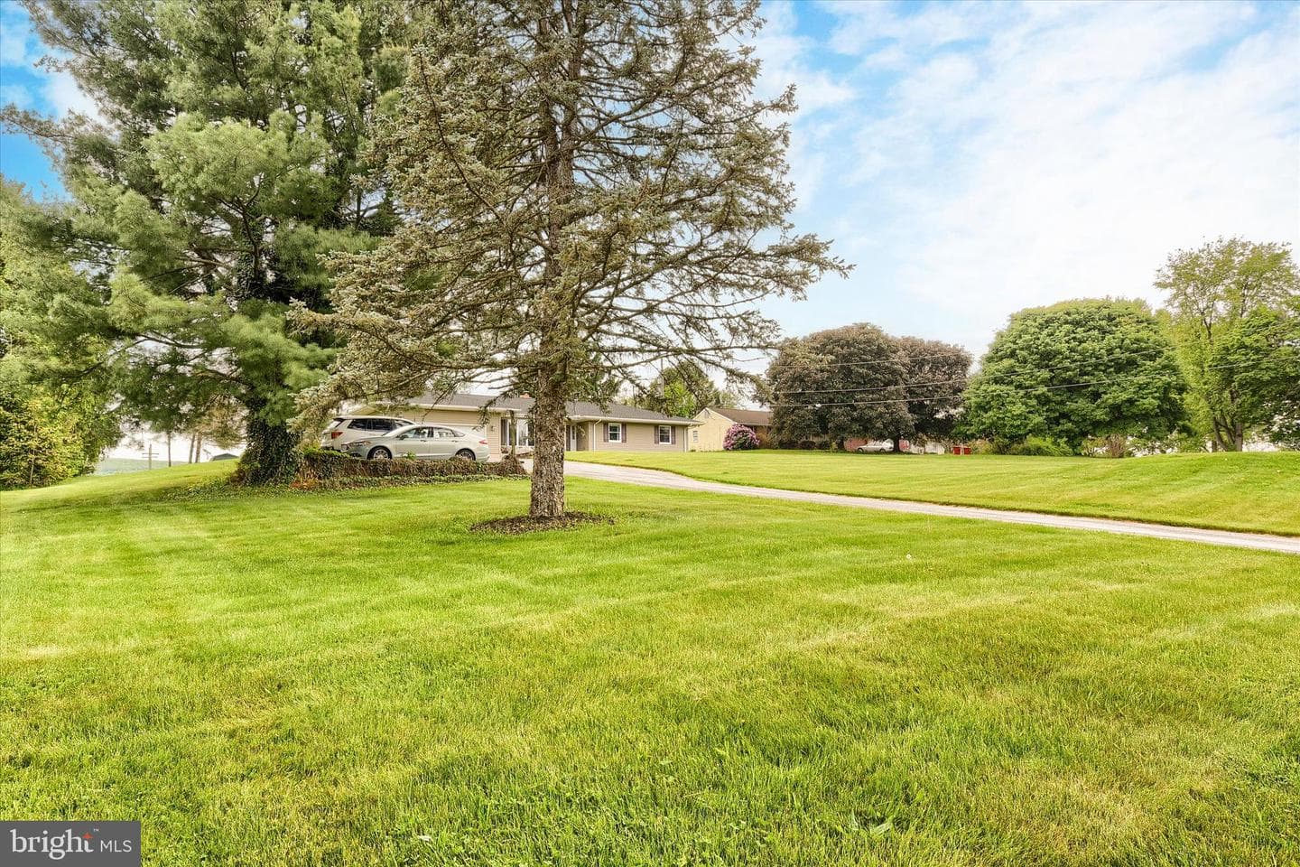 2266 Pine Road photo 4