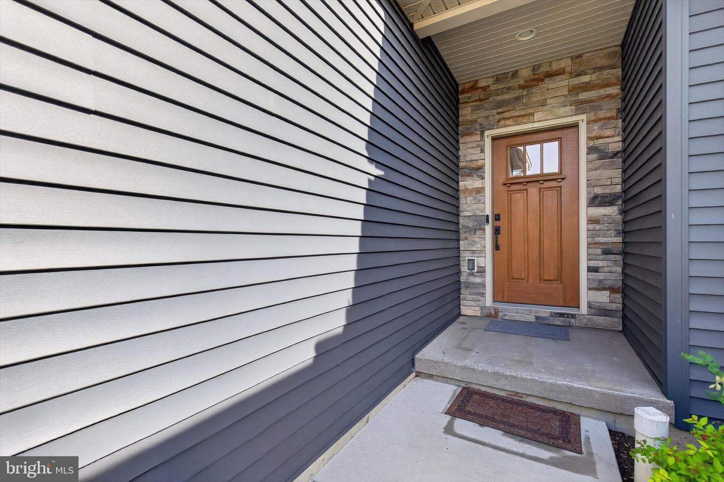 4133 Orrs Town Ct photo 2