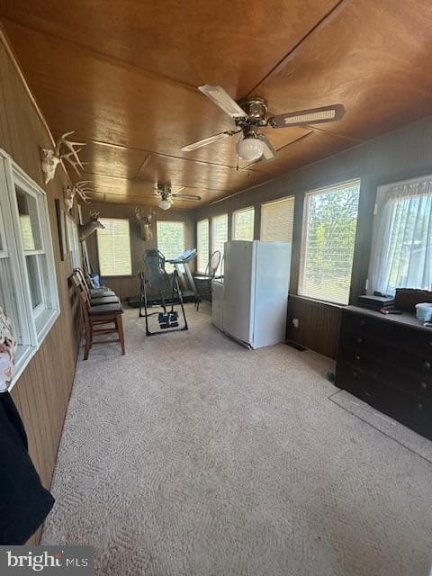 335 Gameland Road photo 9