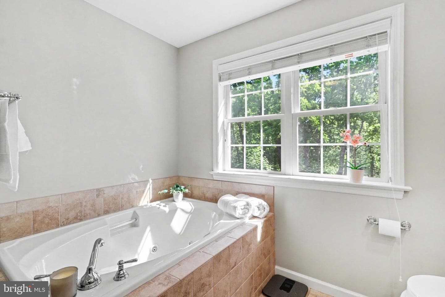 103 Balfour Drive photo 23