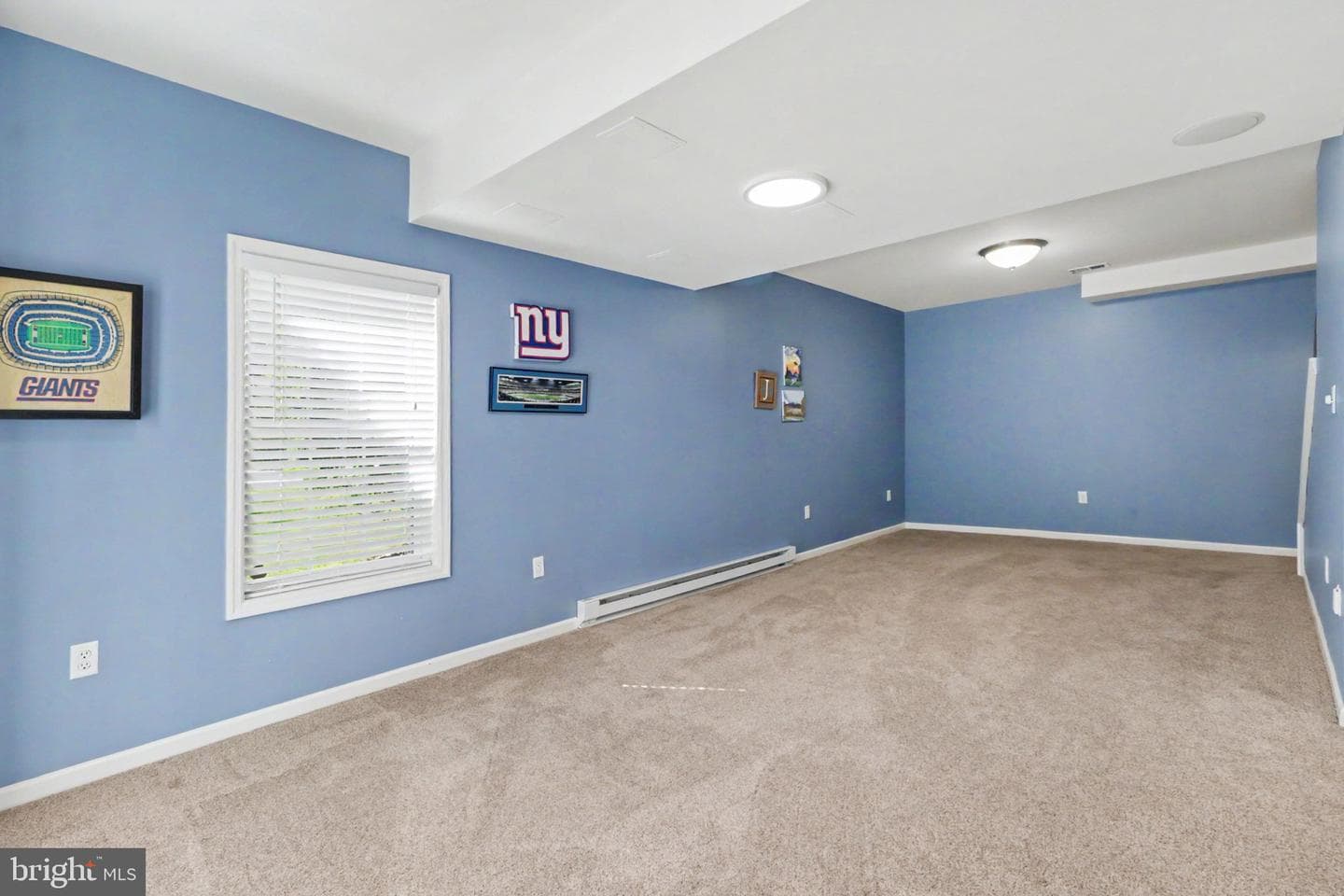 103 Balfour Drive photo 39