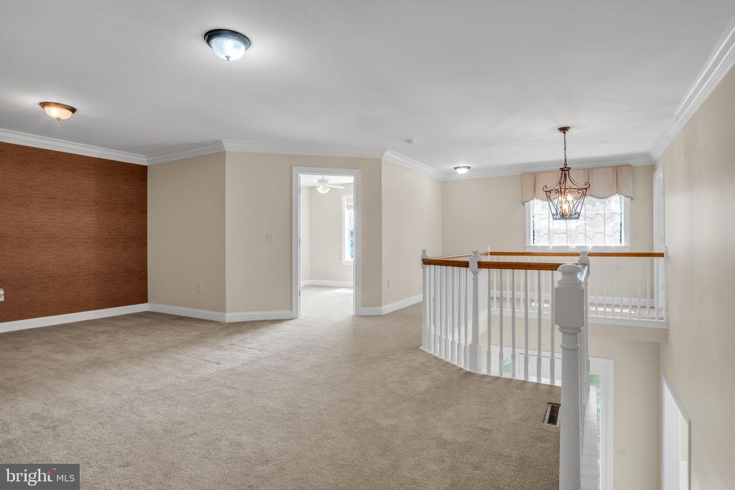 427 Carmella Drive photo 24