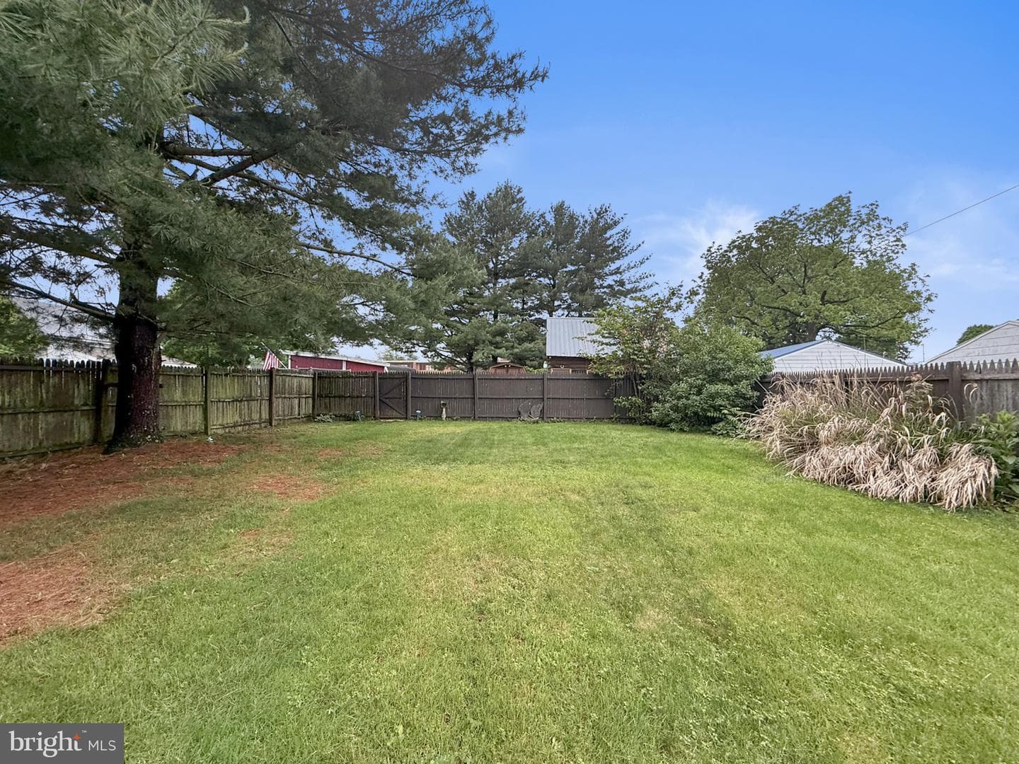 229 Chestnut Street photo 14
