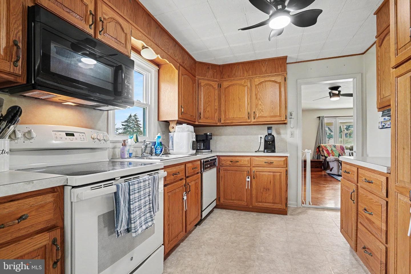 18 Holly Street photo 11