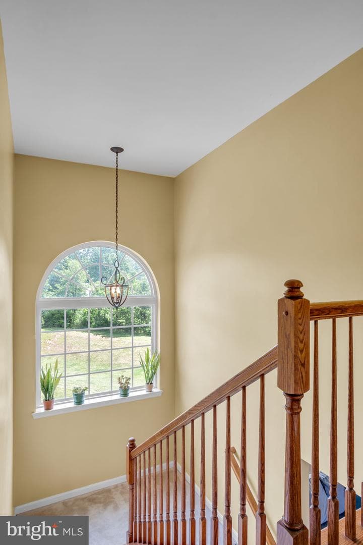 4161 Birchwood Lane photo 22