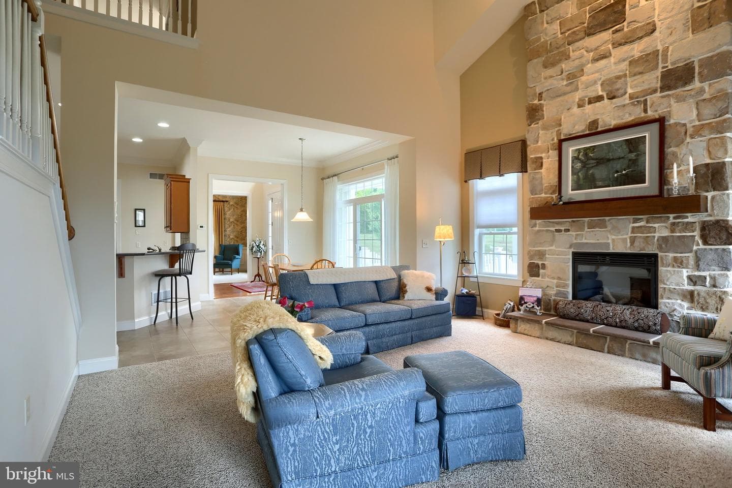 425 Carmella Dr photo 23