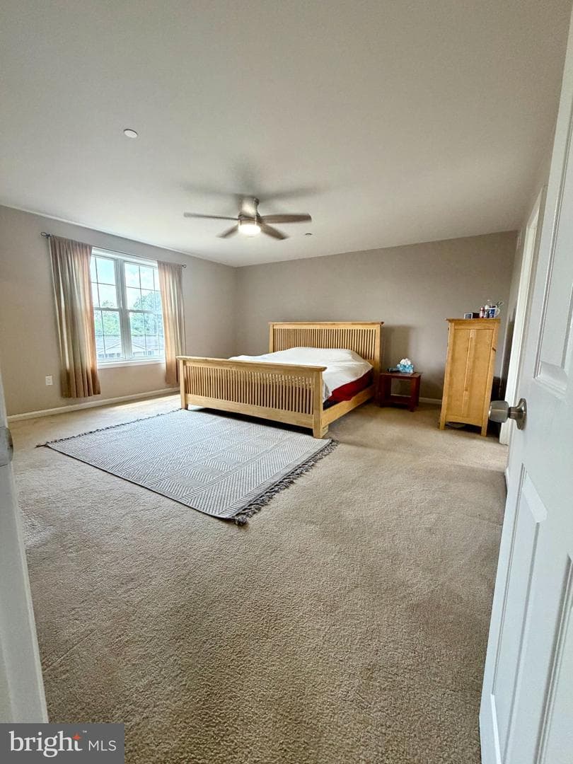 222 Chester Road photo 15