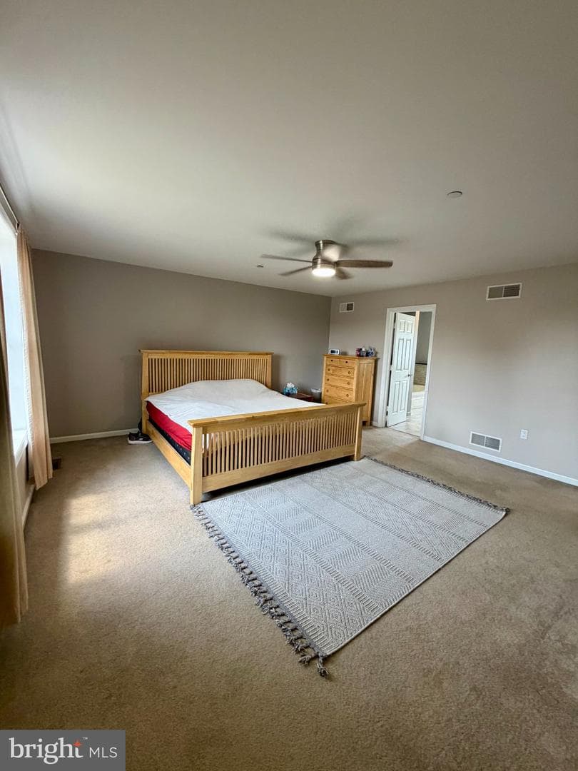 222 Chester Road photo 16