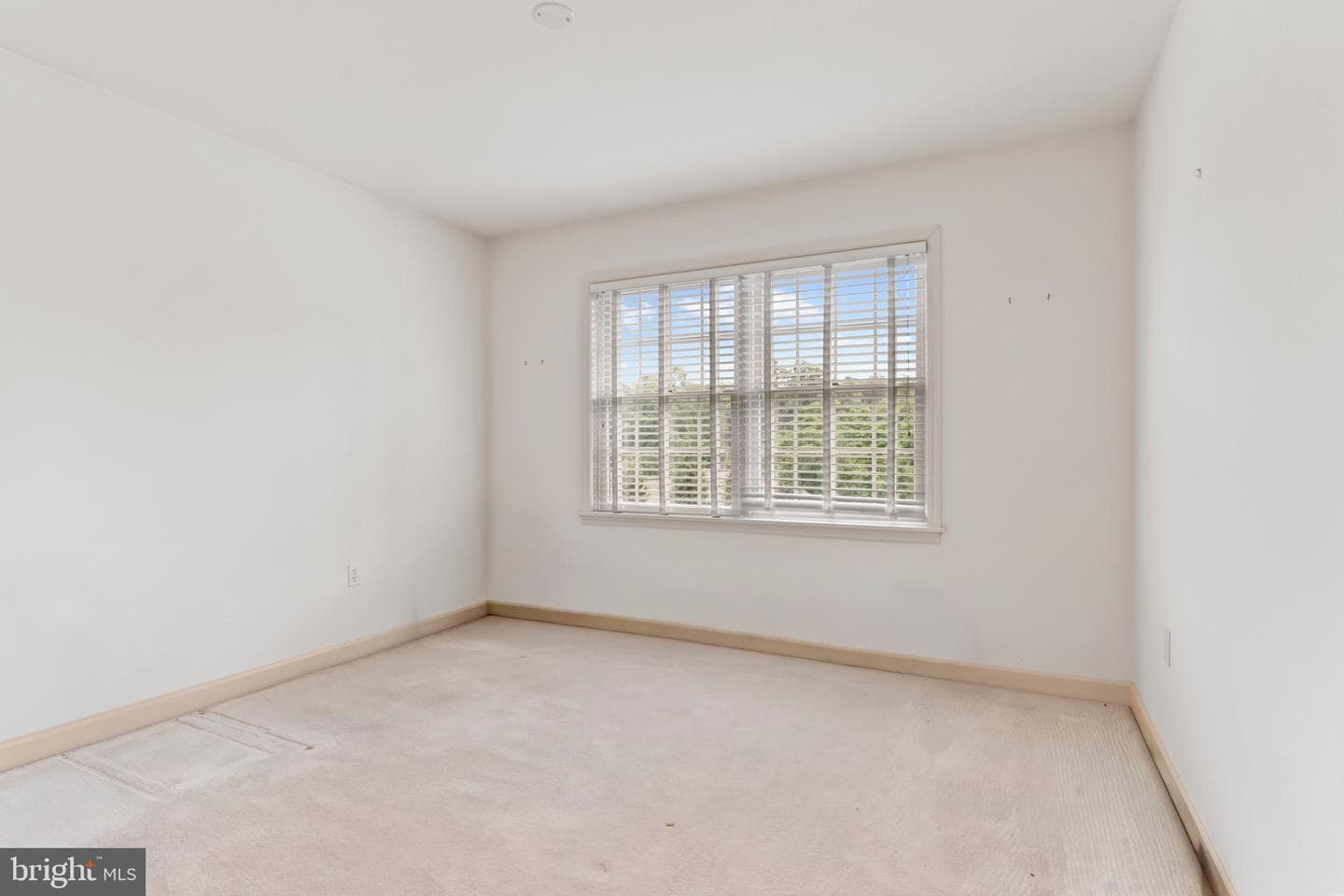 536 Bridgeview Drive photo 26