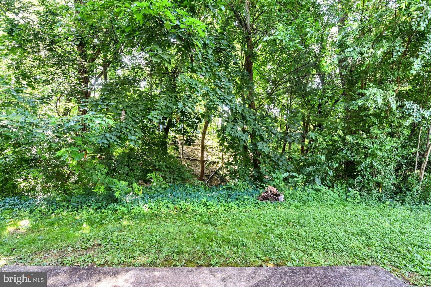 202 Marion Avenue photo 16