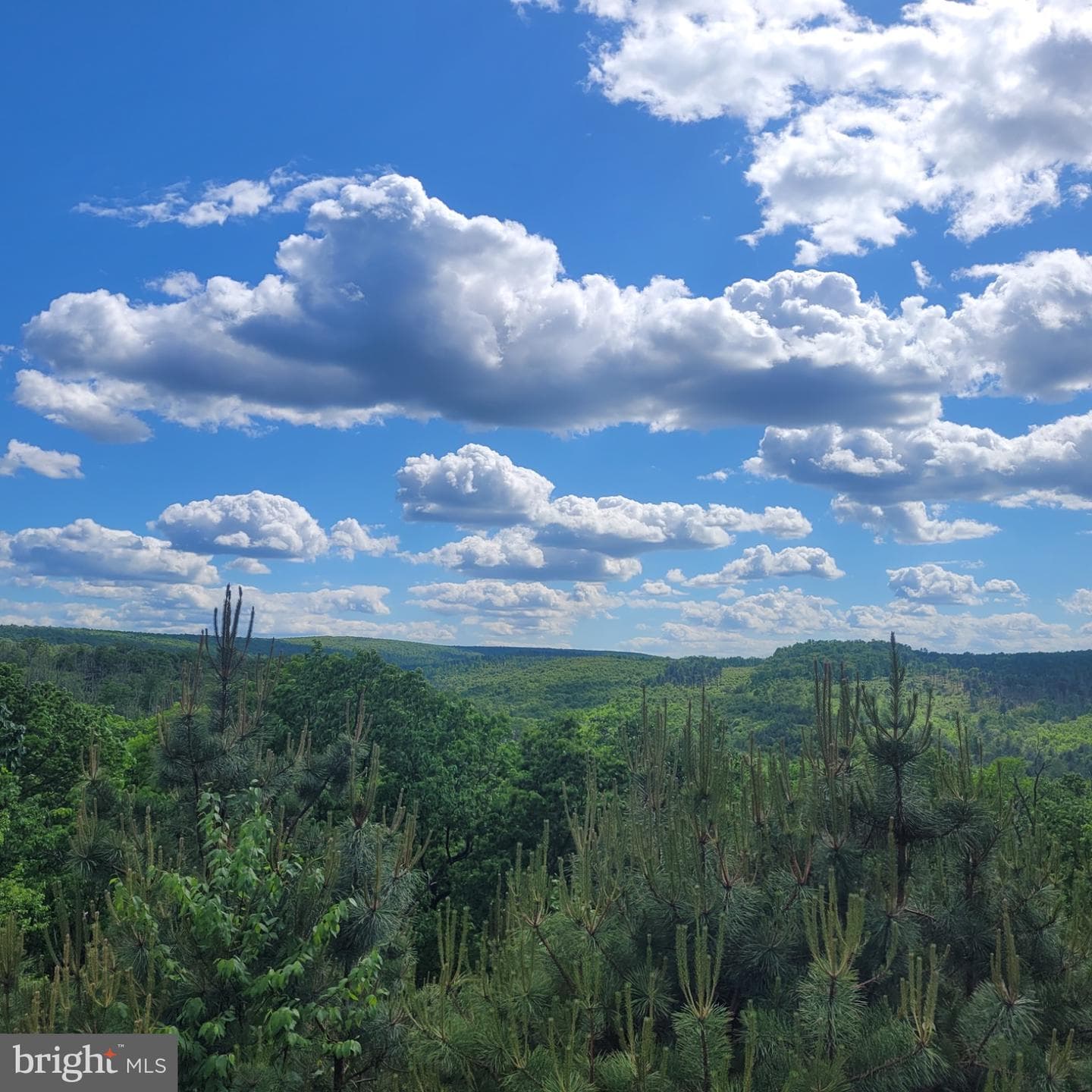 729 High Mountain Road photo 5