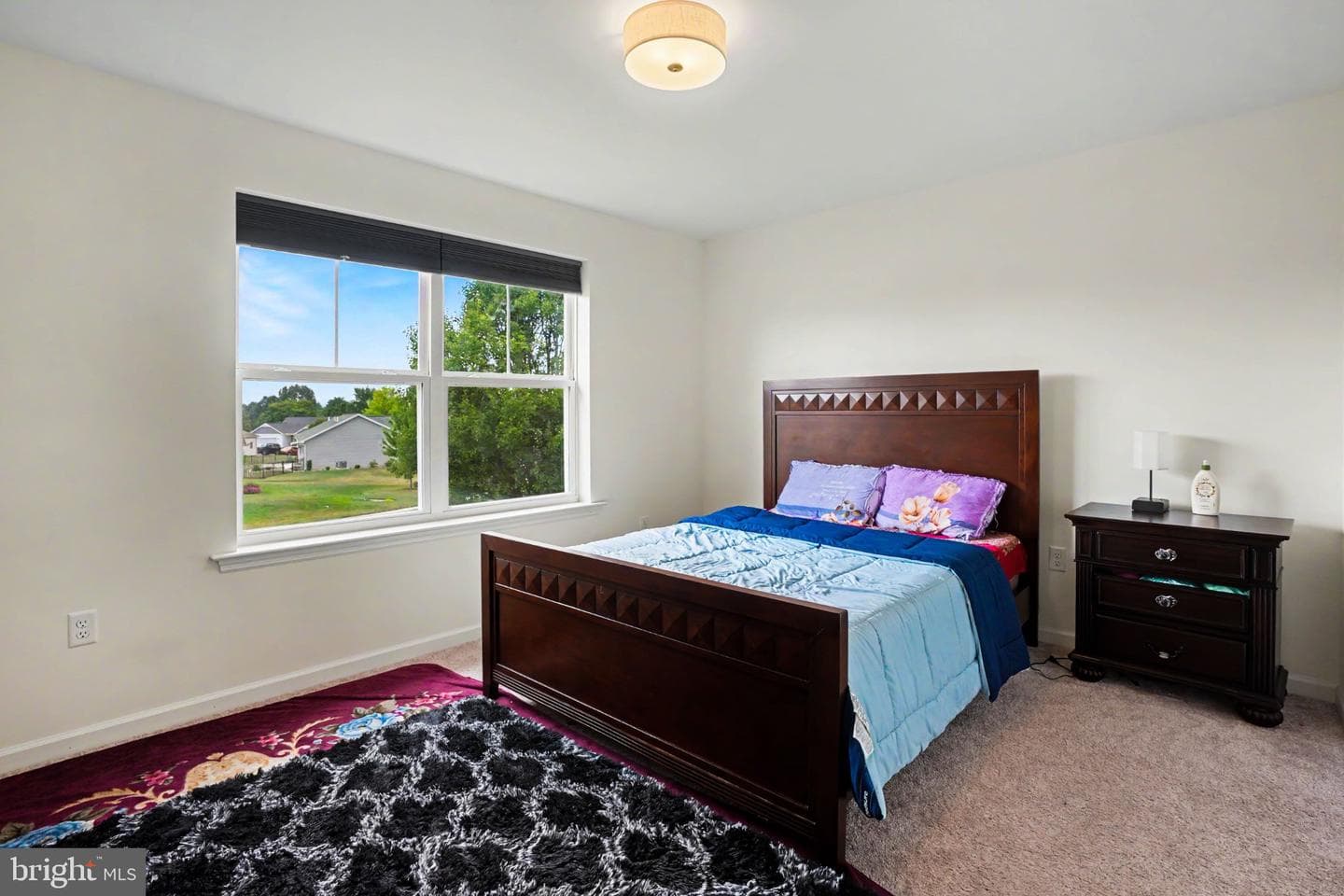 23 Essex Drive photo 18