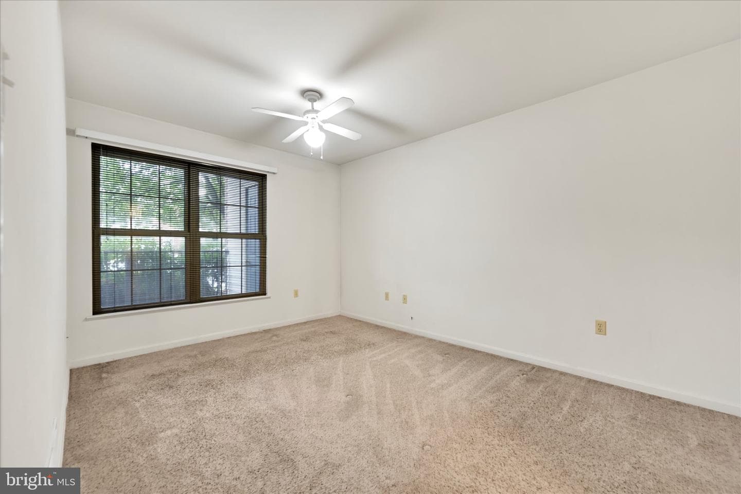 5401 Oxford Drive #11 photo 16