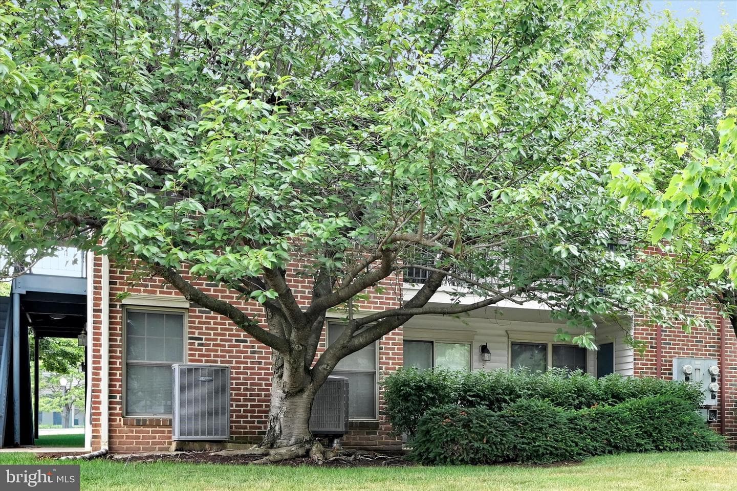 5401 Oxford Drive #11 photo 23