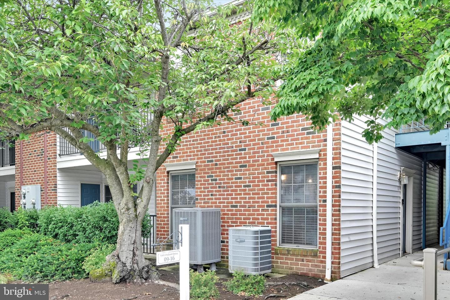 5401 Oxford Drive #11 photo 3