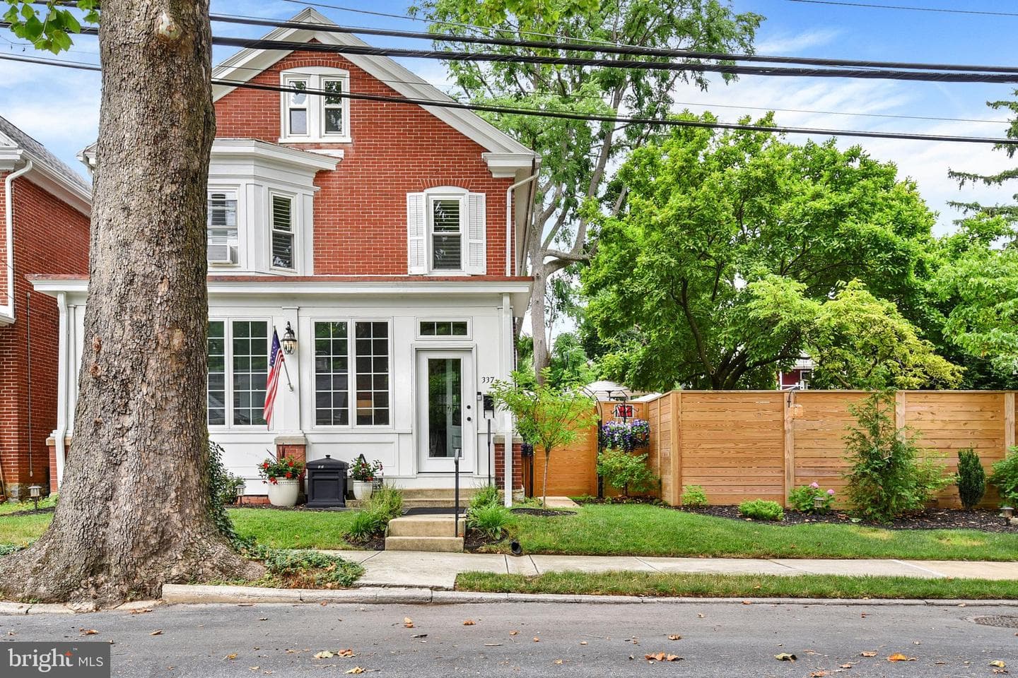 337 Graham Street photo 3