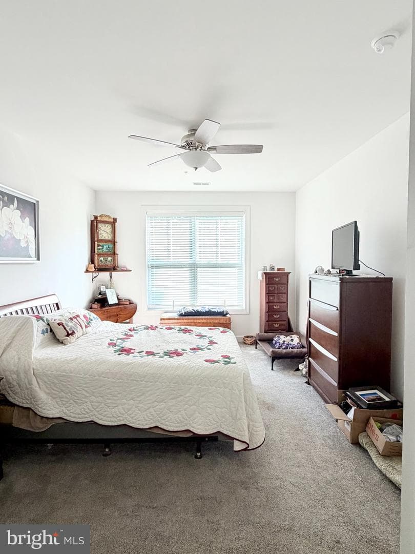 134 Stephenson Road photo 17
