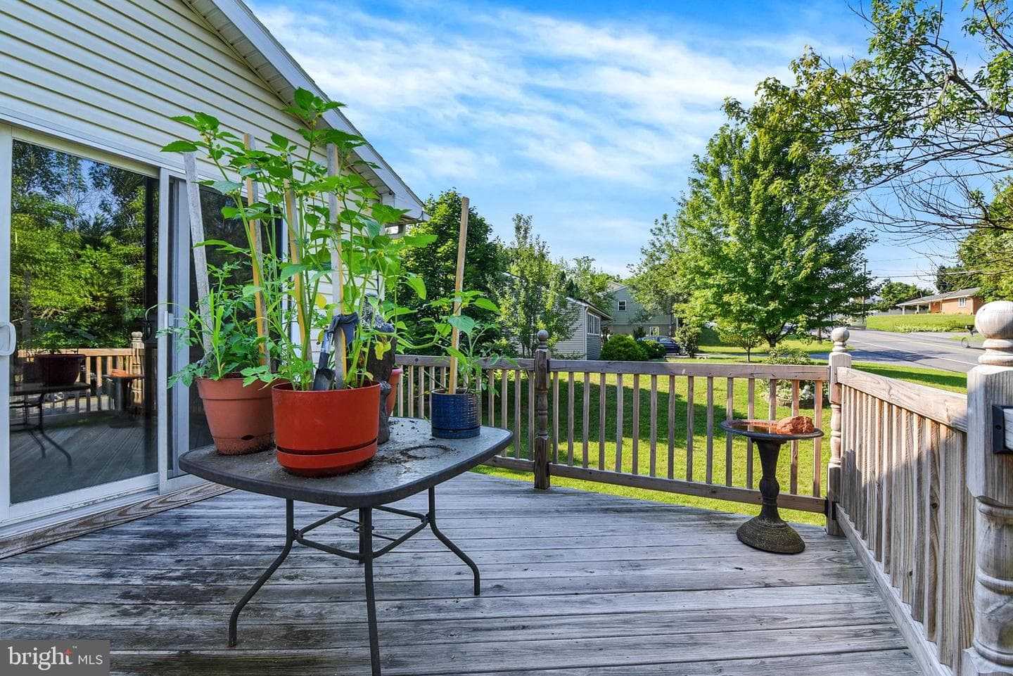 100 Fern Avenue photo 34