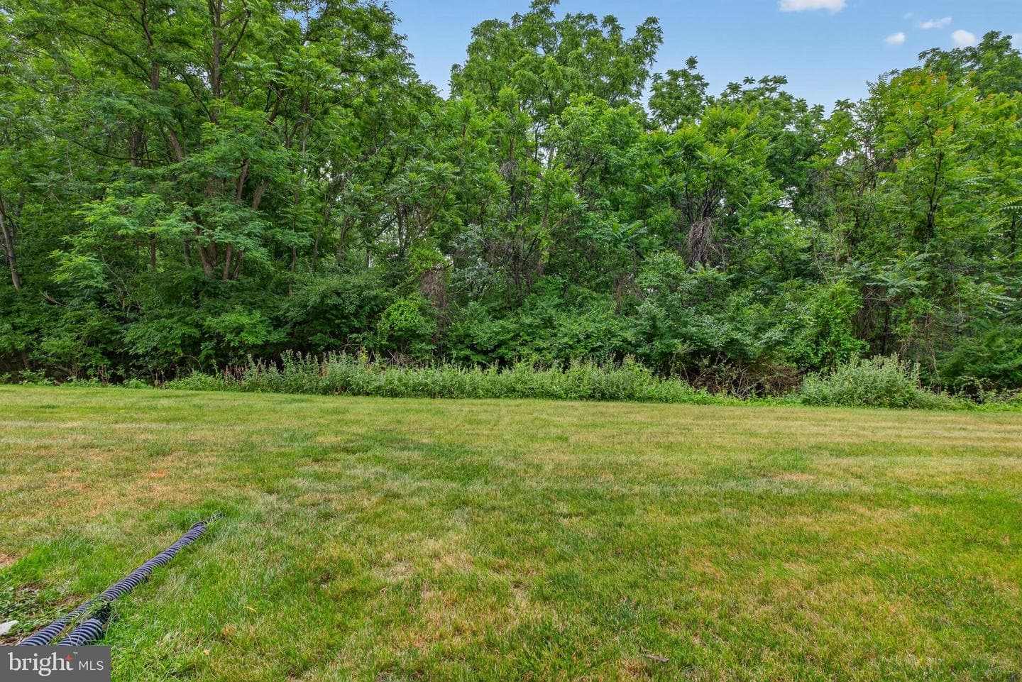 107 Westpoint Drive photo 31