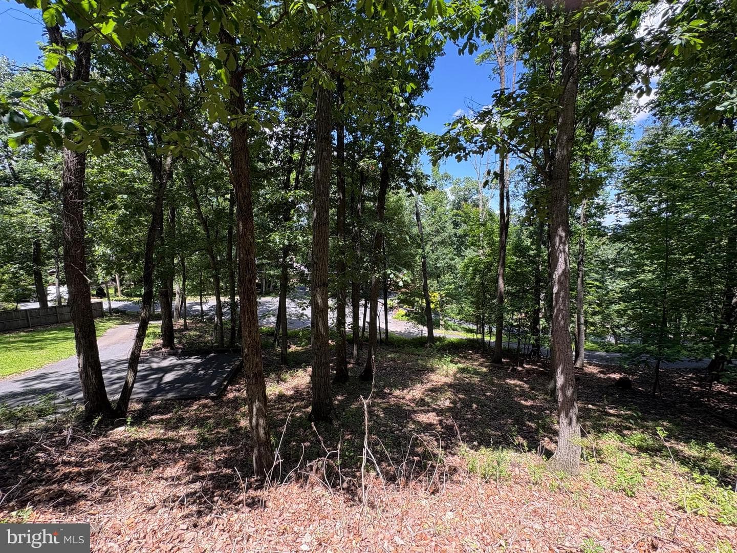1323 Swope Drive photo 65