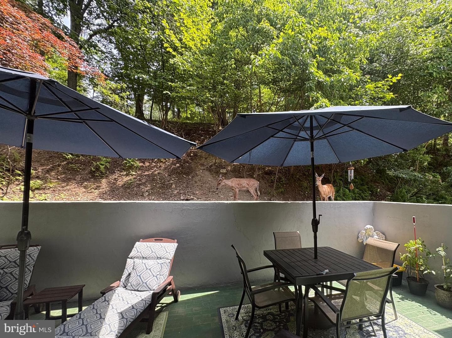 1323 Swope Drive photo 86