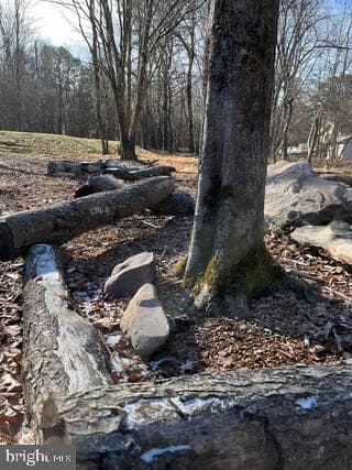 155 Teddyuscung Trail photo 22
